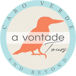A VONTADE Logo