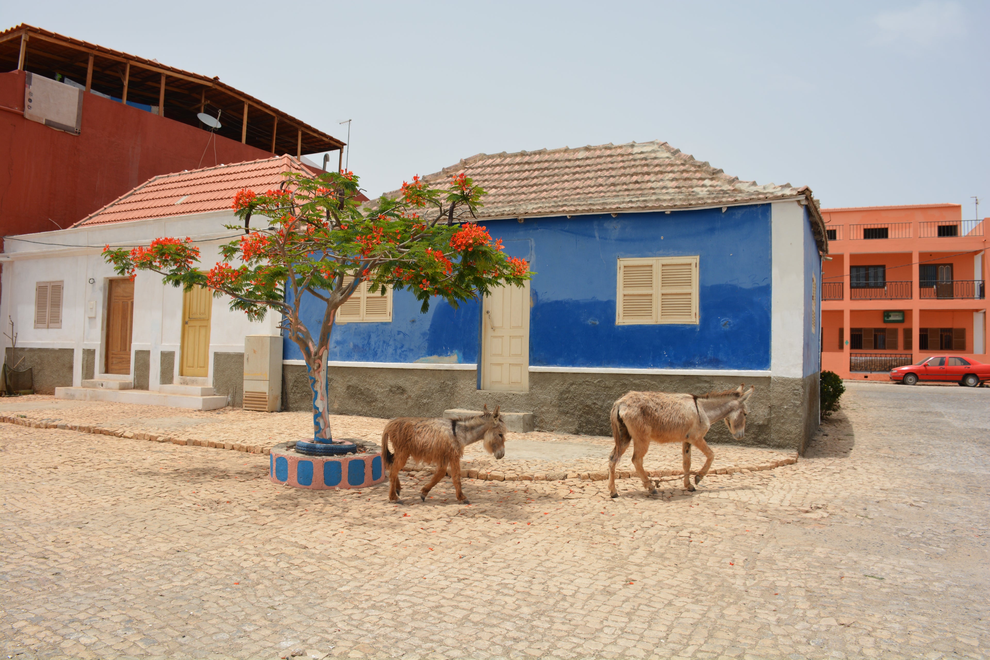 Maio Island Tour